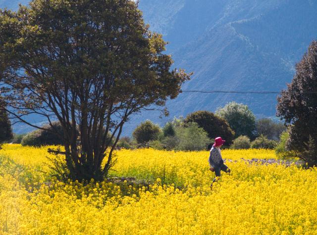 �����ĵĴ��� ��Ӱʦ�û�ΪP30 Pro��¼�����֮��-8.jpg