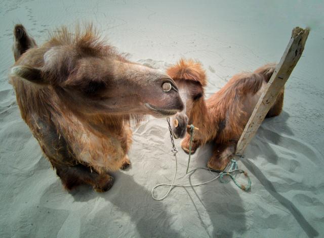 �����ĵĴ��� ��Ӱʦ�û�ΪP30 Pro��¼�����֮��-11.jpg