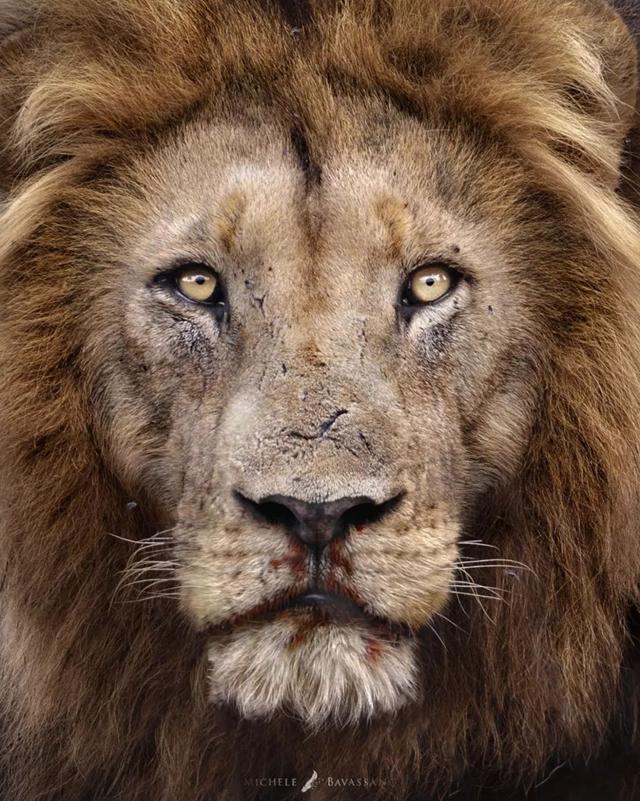 ֻ�� 23 �꣬�����ĳ������Ұ�Ե���Ȼ-3.jpg