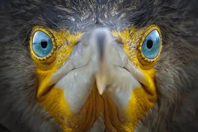 ֻ�� 23 �꣬�����ĳ������Ұ�Ե���Ȼ-1.jpg