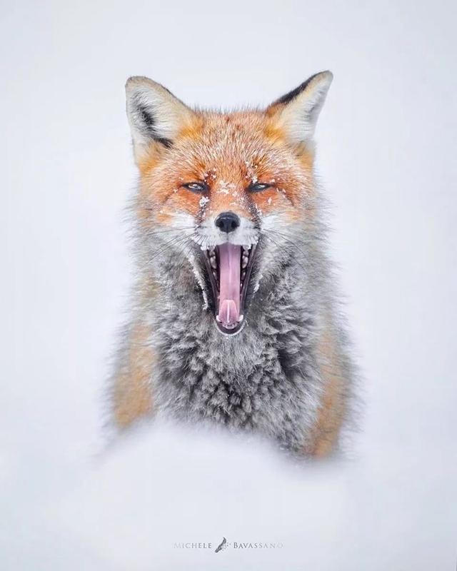 ֻ�� 23 �꣬�����ĳ������Ұ�Ե���Ȼ-6.jpg