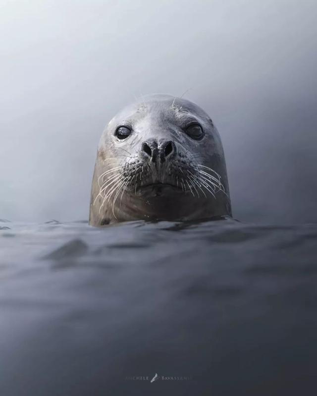 ֻ�� 23 �꣬�����ĳ������Ұ�Ե���Ȼ-7.jpg