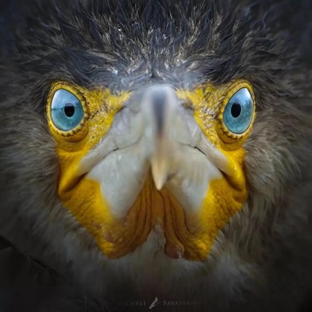 ֻ�� 23 �꣬�����ĳ������Ұ�Ե���Ȼ-5.jpg