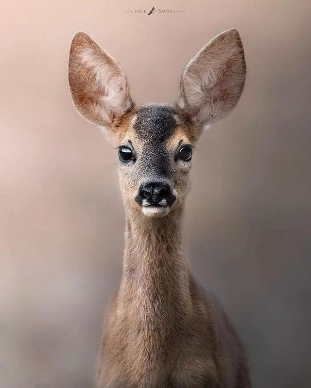 ֻ�� 23 �꣬�����ĳ������Ұ�Ե���Ȼ-4.jpg