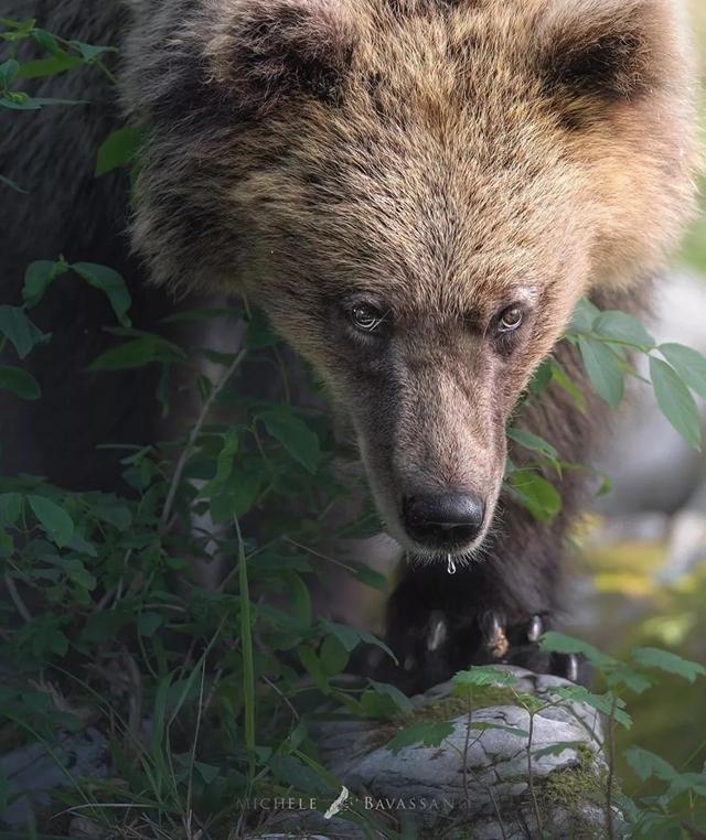 ֻ�� 23 �꣬�����ĳ������Ұ�Ե���Ȼ-8.jpg