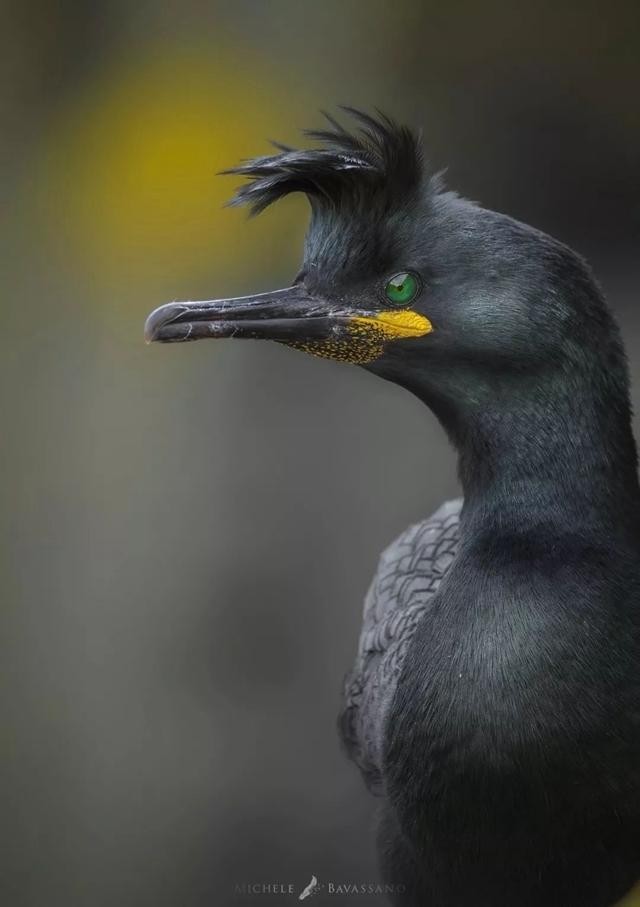 ֻ�� 23 �꣬�����ĳ������Ұ�Ե���Ȼ-15.jpg