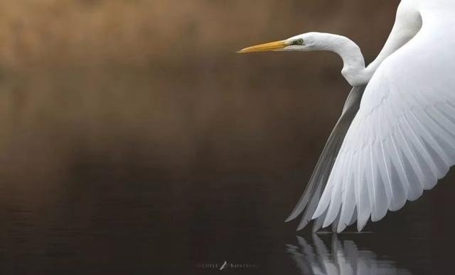 ֻ�� 23 �꣬�����ĳ������Ұ�Ե���Ȼ-14.jpg