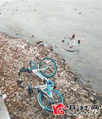 ʮ���������������ӽ����� ����ϣ������ƴ�ÿһ����-1.jpg