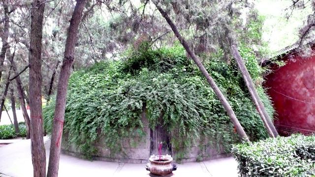 ������ʿ��ŷ�����ռ� ��ʮһƪ���ų��Ŷ�Ѳ��-22.jpg