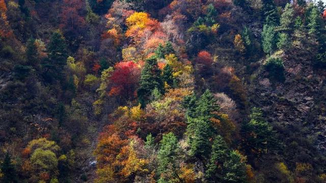 ��ѧ��һ��.����������� ��ῴ����Щ������-33.jpg