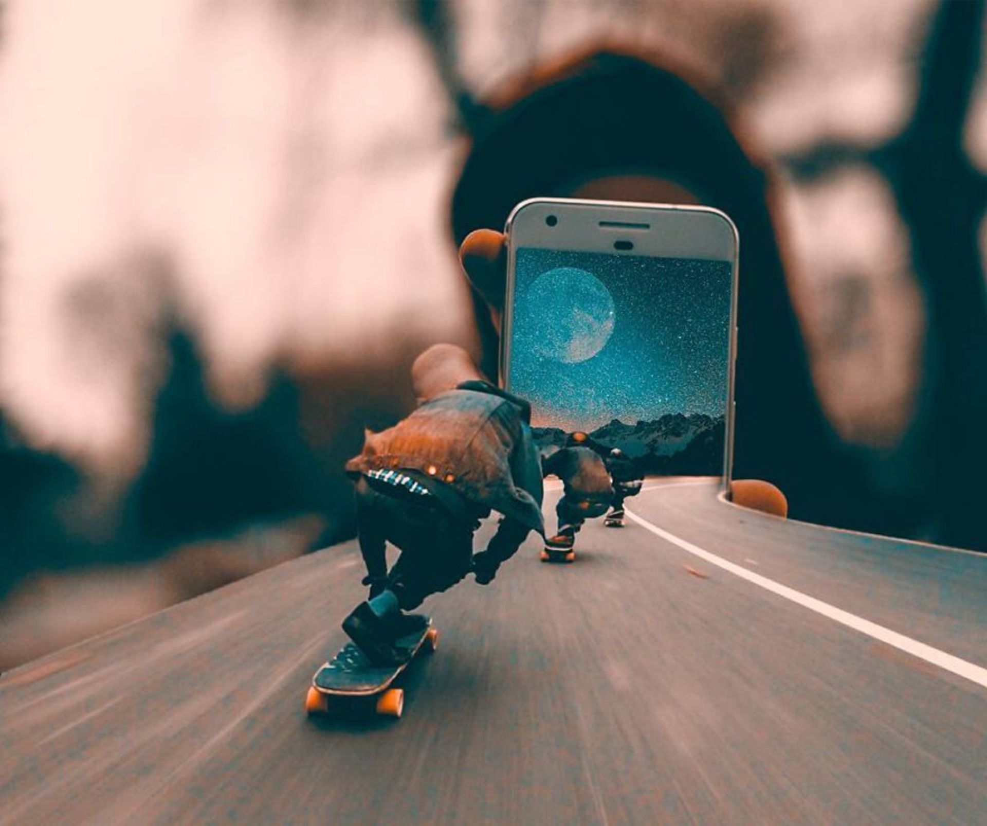 ��Ӱ | ���ҵ���Ƭ��Ұ��������ʵ����һ��-7.jpg