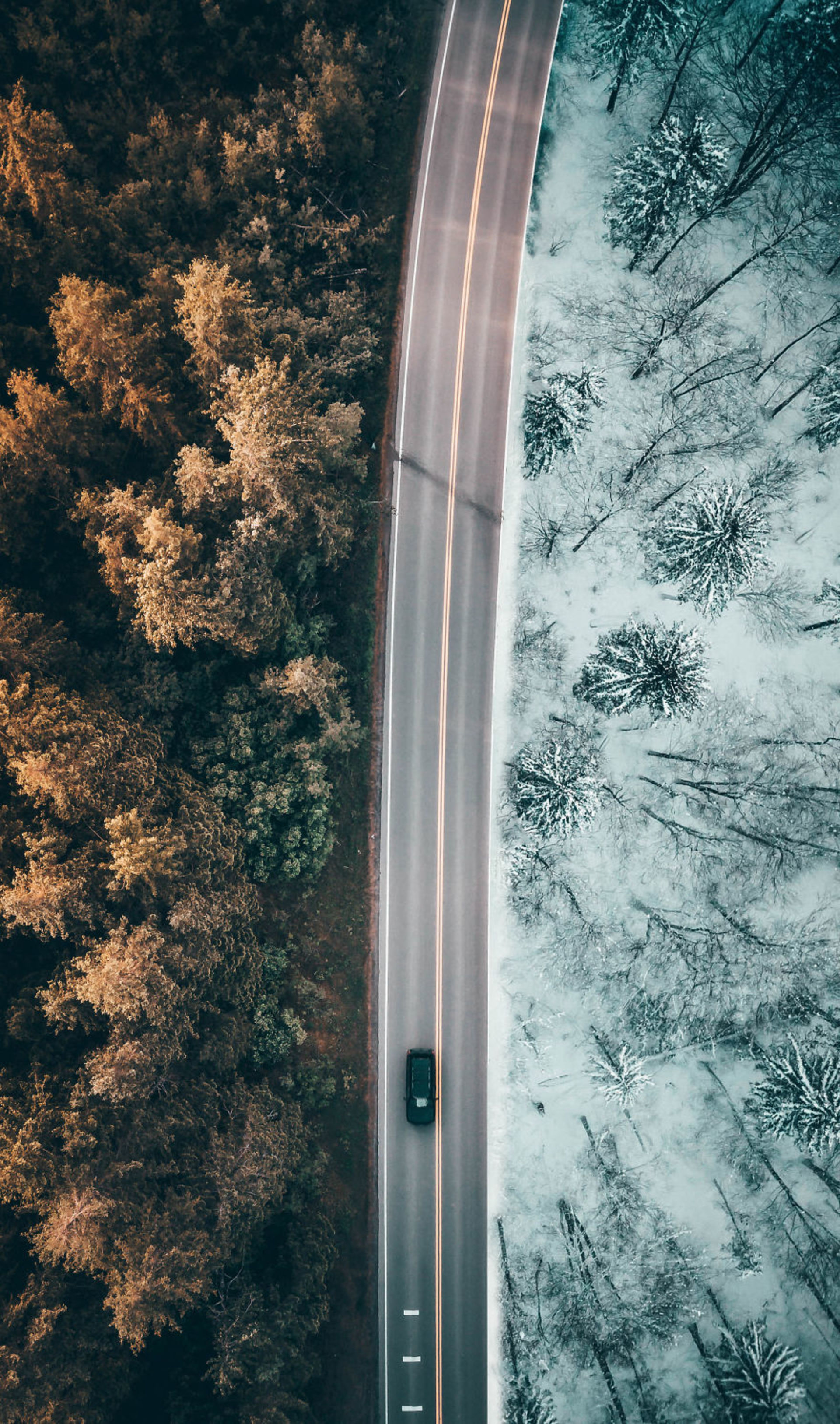 ��Ӱ | ���ҵ���Ƭ��Ұ��������ʵ����һ��-8.jpg