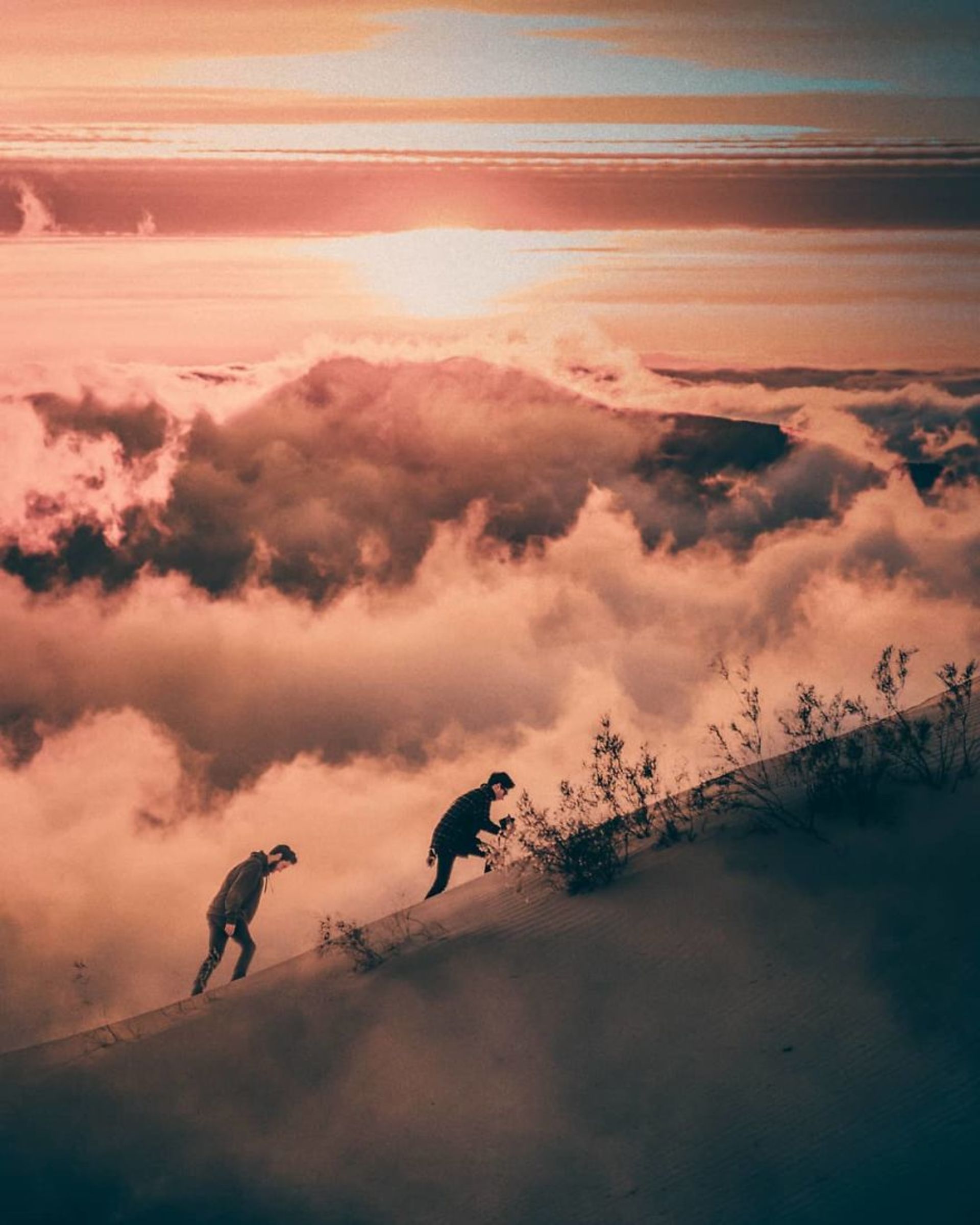 ��Ӱ | ���ҵ���Ƭ��Ұ��������ʵ����һ��-24.jpg