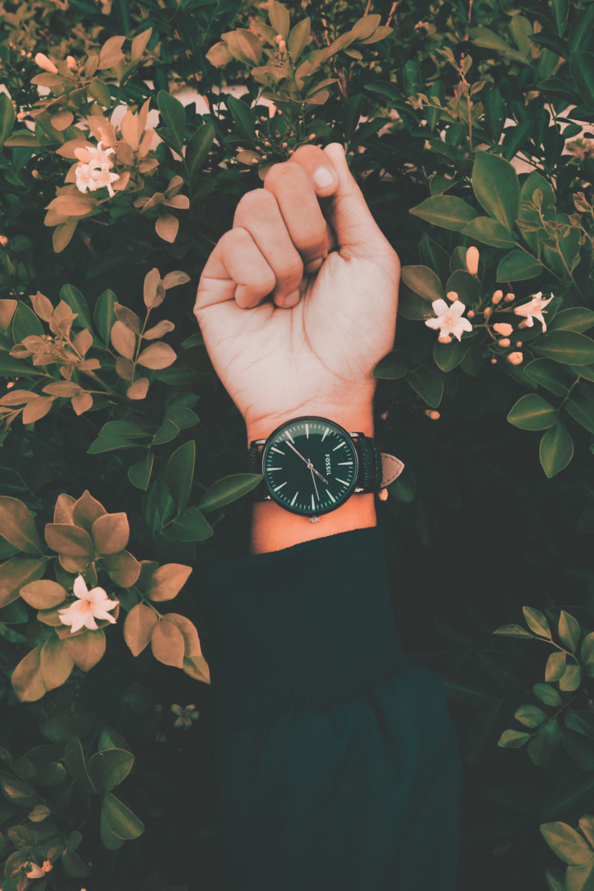 ��Ӱ | ���ҵ���Ƭ��Ұ��������ʵ����һ��-27.jpg