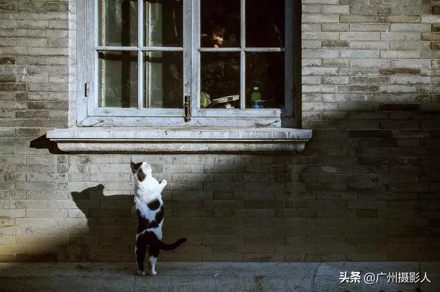ѧӰһҪա7-23.jpg