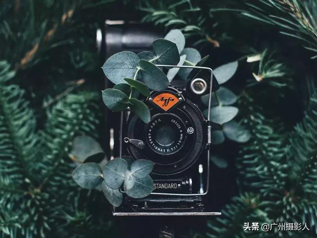 ѧӰһҪա7-28.jpg