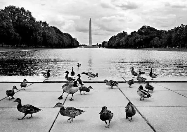 ��Ӱ��ѧ | �����⼸�ֹ�ϵ�������ĳ�����Ƭ-4.jpg