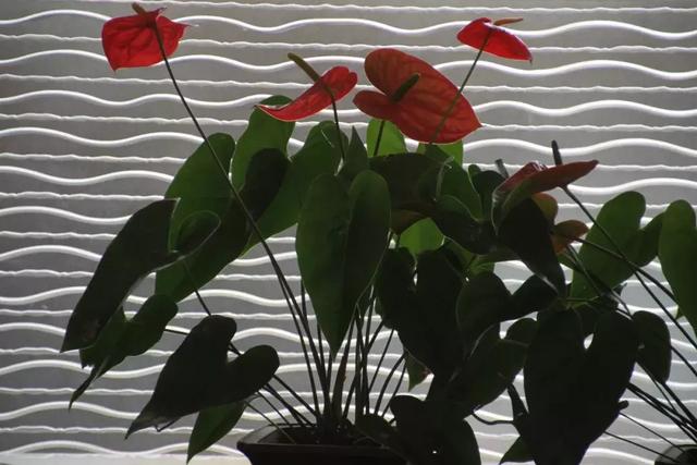 ��Ӱ��ѧ | �����⼸�ֹ�ϵ�������ĳ�����Ƭ-5.jpg