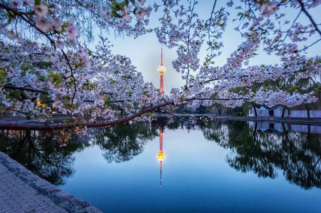 10�����о��� ��Ը���Ҽ��ܳ������壬�����˼�����-9.jpg