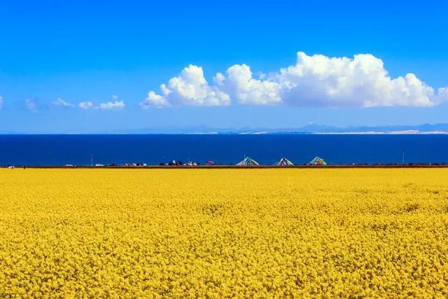 10�����о��� ��Ը���Ҽ��ܳ������壬�����˼�����-19.jpg