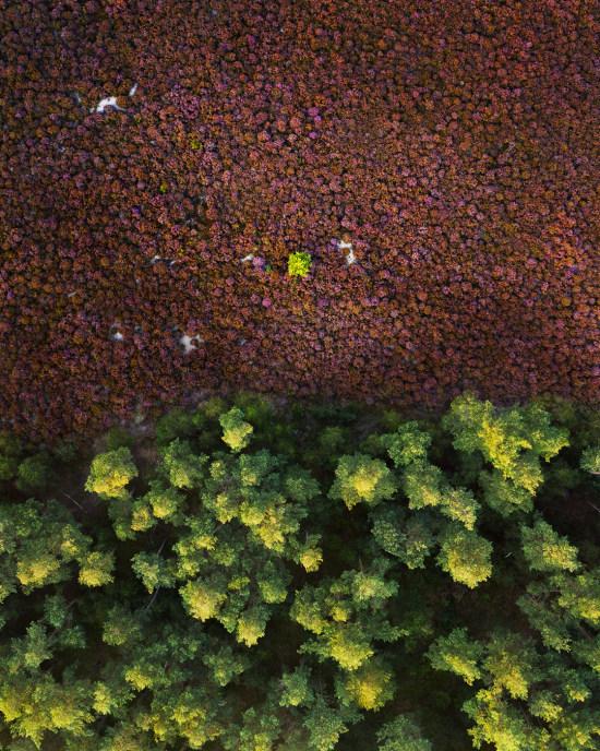 ʲô�����У��ȸ�����۶���һ�£���ÿ���˵����ⲻͬ ���˼��-5.jpg