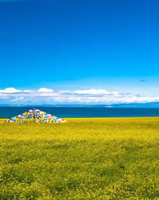 ���ɻ� |13������·�ߣ�Բ��������-7.jpg