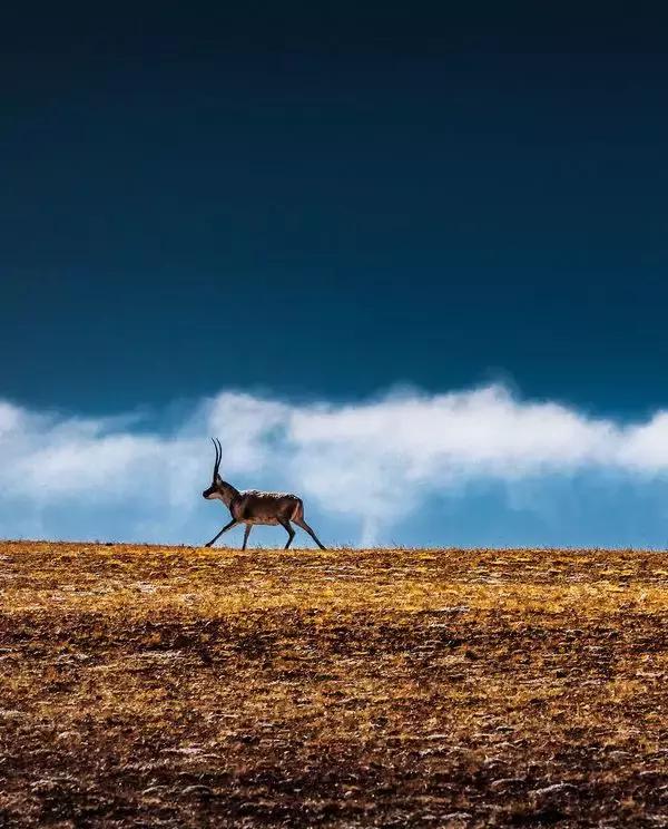 ���ɻ� |13������·�ߣ�Բ��������-22.jpg