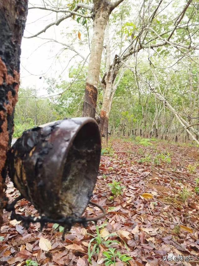 �������� | ����С�����������ĺ��ϻ���֮�ã�������-3.jpg