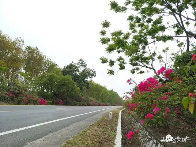 �������� | ����С�����������ĺ��ϻ���֮�ã�������-6.jpg