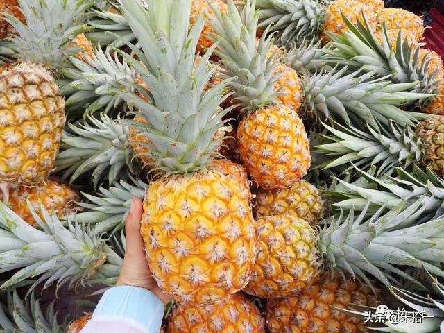 �������� | ����С�����������ĺ��ϻ���֮�ã�������-9.jpg