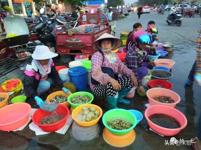 �������� | ����С�����������ĺ��ϻ���֮�ã�������-12.jpg