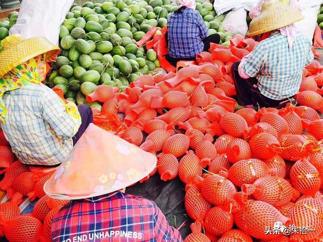 �������� | ����С�����������ĺ��ϻ���֮�ã�������-17.jpg