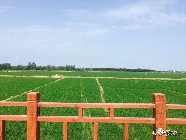 �������� | ����С�����������ĺ��ϻ���֮�ã�������-16.jpg