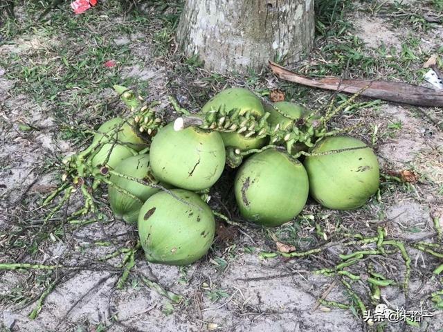 �������� | ����С�����������ĺ��ϻ���֮�ã�������-21.jpg