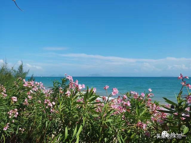 �������� | ����С�����������ĺ��ϻ���֮�ã�������-24.jpg