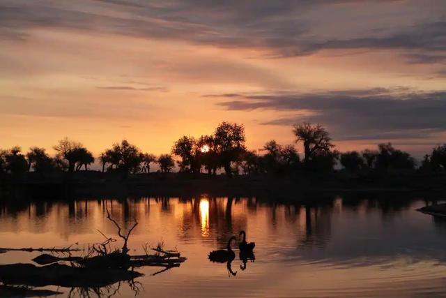 ���� | С���ټ����������������ǣ���һ���Լ��Σ�-5.jpg