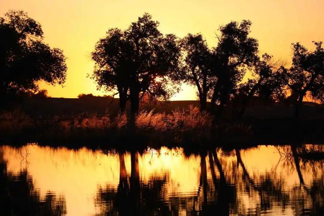 ���� | С���ټ����������������ǣ���һ���Լ��Σ�-10.jpg