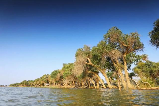 ���� | С���ټ����������������ǣ���һ���Լ��Σ�-7.jpg