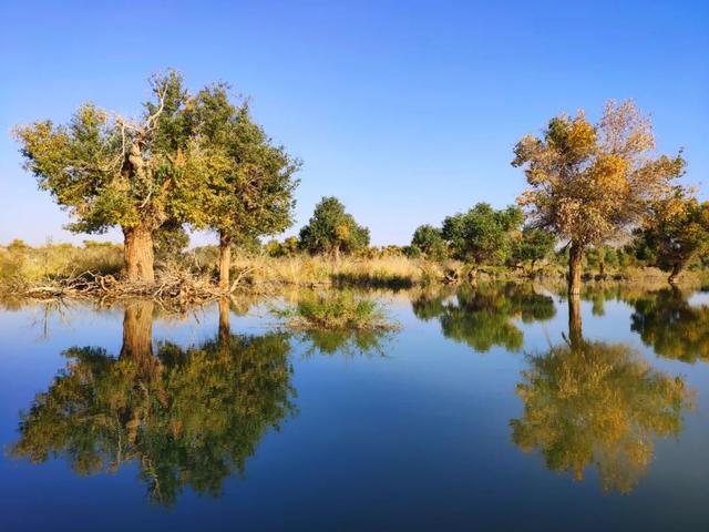 ���� | С���ټ����������������ǣ���һ���Լ��Σ�-6.jpg