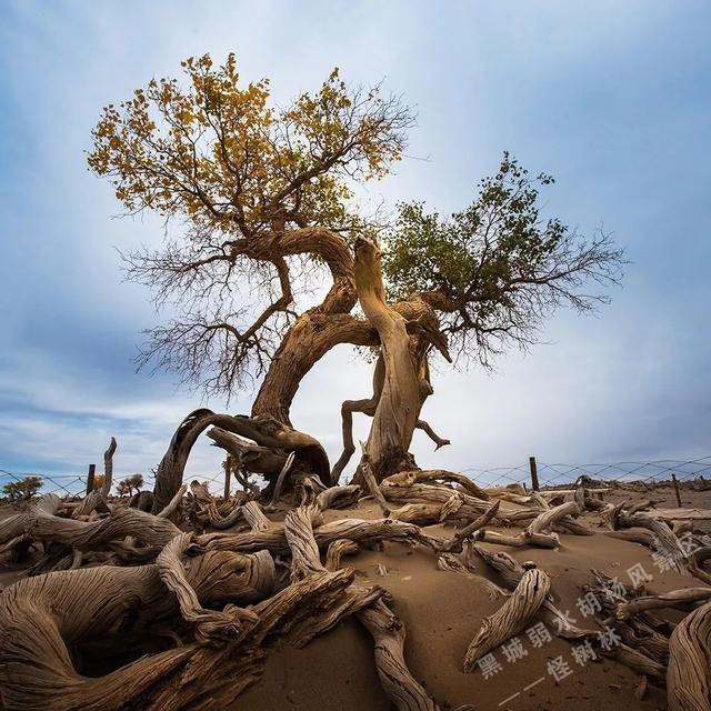 ���� | С���ټ����������������ǣ���һ���Լ��Σ�-12.jpg