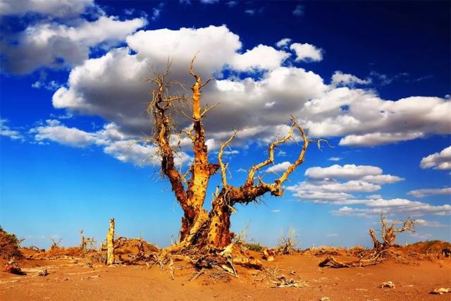 ���� | С���ټ����������������ǣ���һ���Լ��Σ�-14.jpg