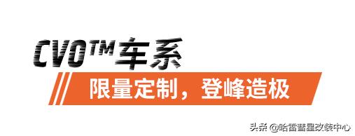 ����ָ�� | 2020�����й��ٷ����ۼ���ɫ-98.jpg