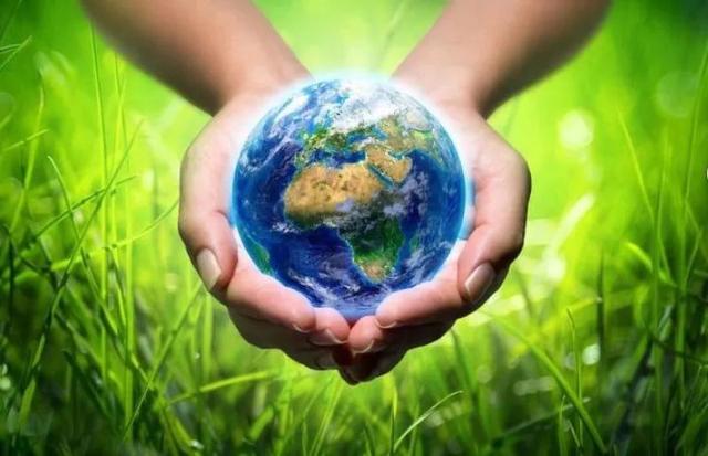 2020 ����������������л����-4.jpg