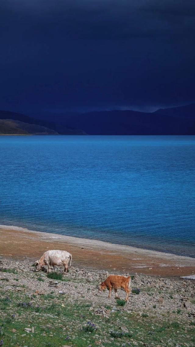 þò-25.jpg