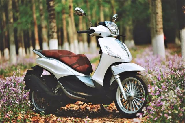 ������С���������̤�壬Beverly 300��Ũ�����-3.jpg