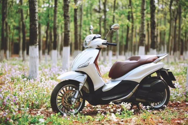 ������С���������̤�壬Beverly 300��Ũ�����-4.jpg