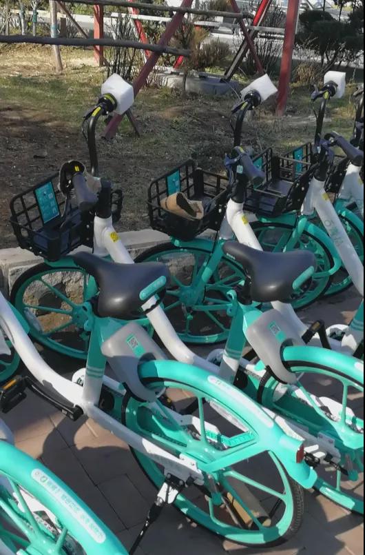 ���εε�����Ҳ�������������֡� ��Сʱ�󱻾������սɡ�-1.jpg