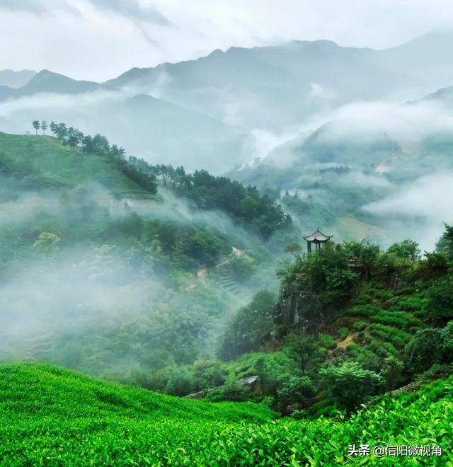 ��һ�����Ƽ� ���ɽ��ѡ�Լ��ι��ԣ�ͼ��-4.jpg