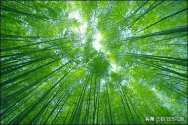 ��һ�����Ƽ� ���ɽ��ѡ�Լ��ι��ԣ�ͼ��-13.jpg