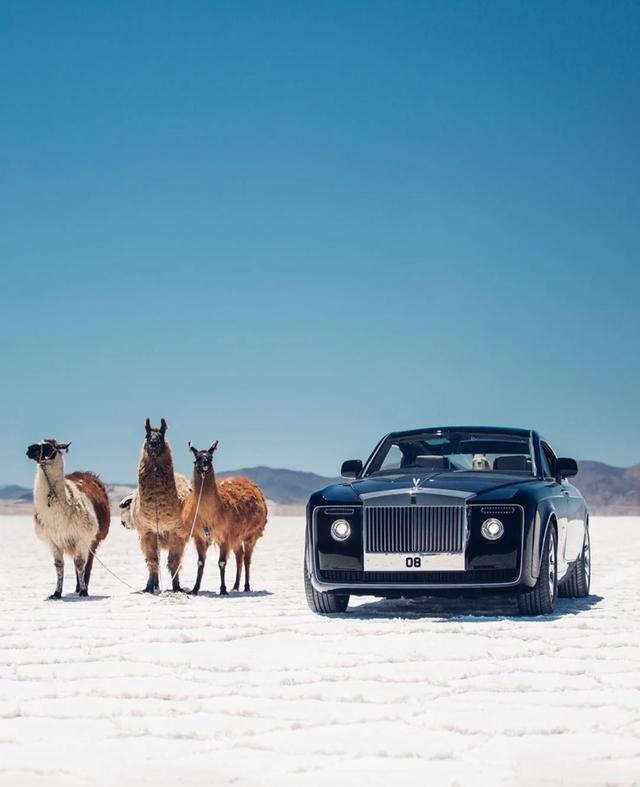 �ܳ� �ᳵ ����ͼ-3.jpg